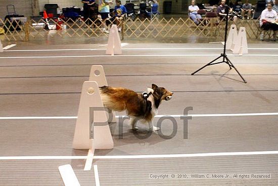 Birmingham Bandits Summer Shootout<br />June 26, 2010<br />Bessemer Civic Center<br />Bessemer Al