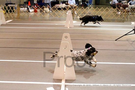 Birmingham Bandits Summer Shootout<br />June 26, 2010<br />Bessemer Civic Center<br />Bessemer Al