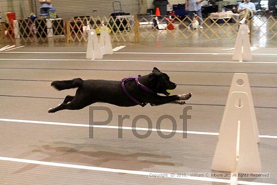 Birmingham Bandits Summer Shootout<br />June 26, 2010<br />Bessemer Civic Center<br />Bessemer Al