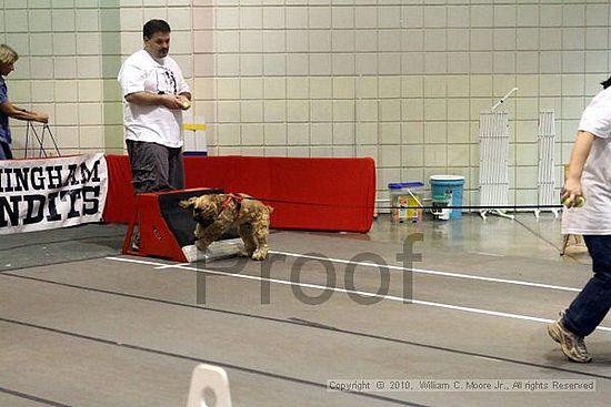 Birmingham Bandits Summer Shootout<br />June 26, 2010<br />Bessemer Civic Center<br />Bessemer Al