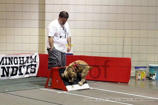 Birmingham Bandits Summer Shootout<br />June 26, 2010<br />Bessemer Civic Center<br />Bessemer Al