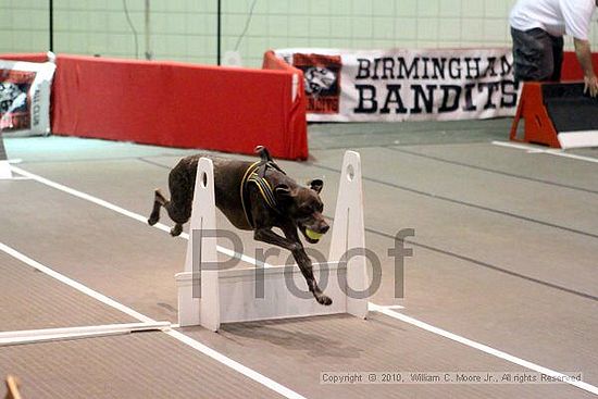 Birmingham Bandits Summer Shootout<br />June 26, 2010<br />Bessemer Civic Center<br />Bessemer Al