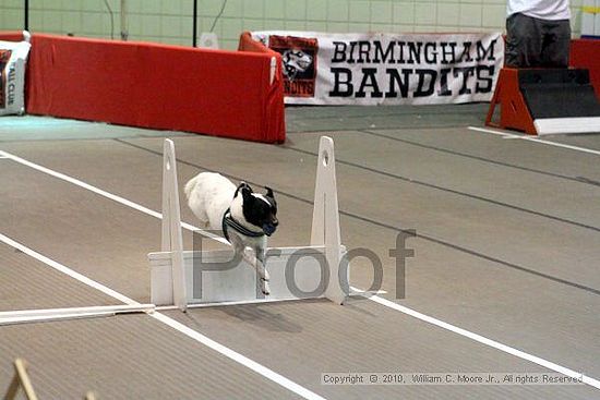 Birmingham Bandits Summer Shootout<br />June 26, 2010<br />Bessemer Civic Center<br />Bessemer Al