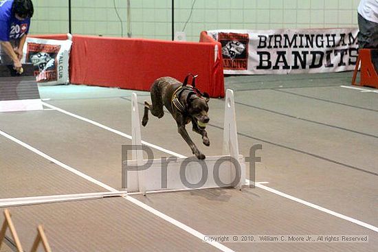 Birmingham Bandits Summer Shootout<br />June 26, 2010<br />Bessemer Civic Center<br />Bessemer Al