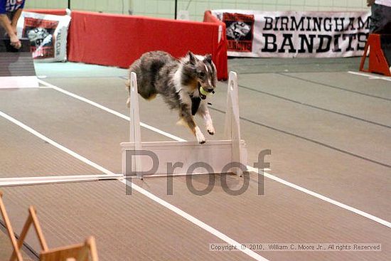 Birmingham Bandits Summer Shootout<br />June 26, 2010<br />Bessemer Civic Center<br />Bessemer Al