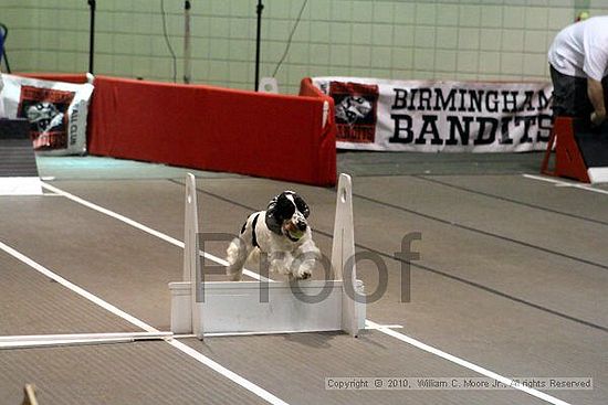 Birmingham Bandits Summer Shootout<br />June 26, 2010<br />Bessemer Civic Center<br />Bessemer Al