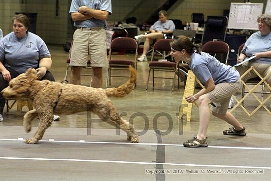 Birmingham Bandits Summer Shootout<br />June 26, 2010<br />Bessemer Civic Center<br />Bessemer Al