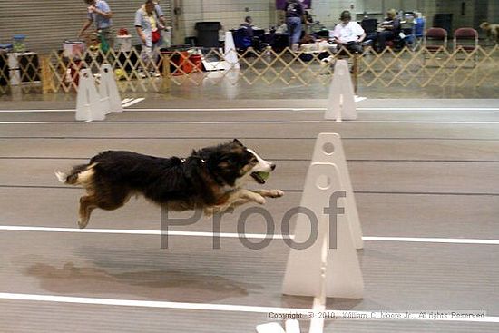 Birmingham Bandits Summer Shootout<br />June 26, 2010<br />Bessemer Civic Center<br />Bessemer Al