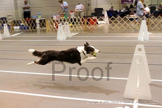 Birmingham Bandits Summer Shootout<br />June 26, 2010<br />Bessemer Civic Center<br />Bessemer Al