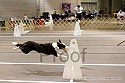 img_5843_thm.jpg