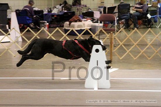 Birmingham Bandits Summer Shootout<br />June 26, 2010<br />Bessemer Civic Center<br />Bessemer Al