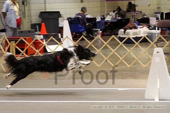 Birmingham Bandits Summer Shootout<br />June 26, 2010<br />Bessemer Civic Center<br />Bessemer Al