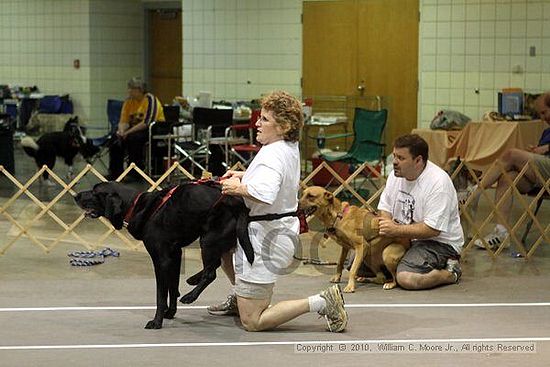 Birmingham Bandits Summer Shootout<br />June 26, 2010<br />Bessemer Civic Center<br />Bessemer Al