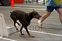 img_5877_thm.jpg