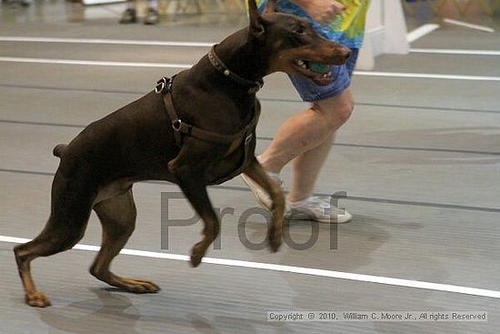 Birmingham Bandits Summer Shootout<br />June 26, 2010<br />Bessemer Civic Center<br />Bessemer Al