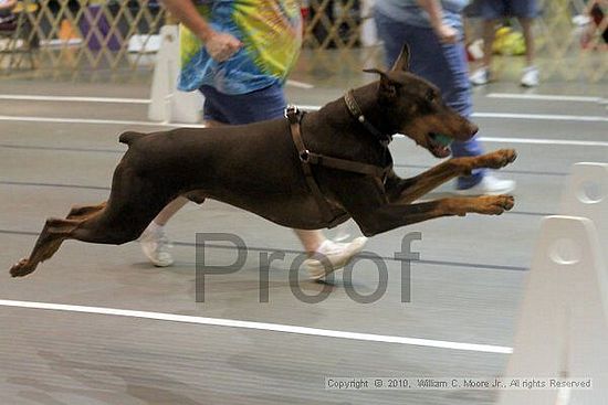 Birmingham Bandits Summer Shootout<br />June 26, 2010<br />Bessemer Civic Center<br />Bessemer Al