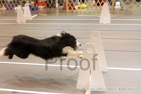 Birmingham Bandits Summer Shootout<br />June 26, 2010<br />Bessemer Civic Center<br />Bessemer Al