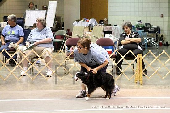 Birmingham Bandits Summer Shootout<br />June 26, 2010<br />Bessemer Civic Center<br />Bessemer Al