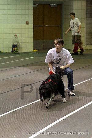 Birmingham Bandits Summer Shootout<br />June 26, 2010<br />Bessemer Civic Center<br />Bessemer Al