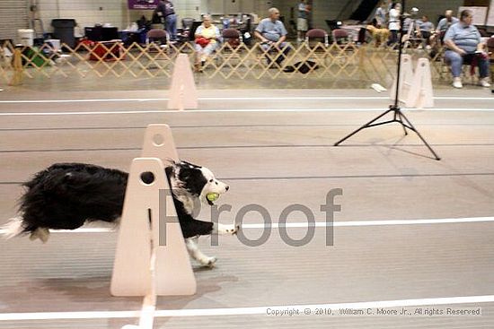 Birmingham Bandits Summer Shootout<br />June 26, 2010<br />Bessemer Civic Center<br />Bessemer Al