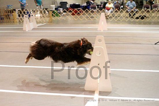 Birmingham Bandits Summer Shootout<br />June 26, 2010<br />Bessemer Civic Center<br />Bessemer Al