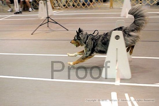 Birmingham Bandits Summer Shootout<br />June 27, 2010<br />Bessemer Civic Center<br />Bessemer Al