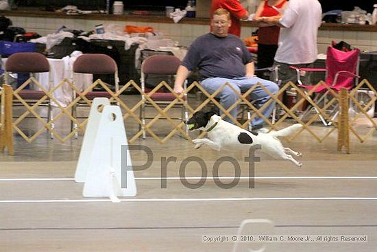 Birmingham Bandits Summer Shootout<br />June 27, 2010<br />Bessemer Civic Center<br />Bessemer Al