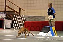 img_6103_thm.jpg