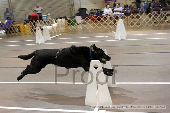 Birmingham Bandits Summer Shootout<br />June 27, 2010<br />Bessemer Civic Center<br />Bessemer Al