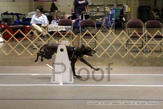 Birmingham Bandits Summer Shootout<br />June 27, 2010<br />Bessemer Civic Center<br />Bessemer Al