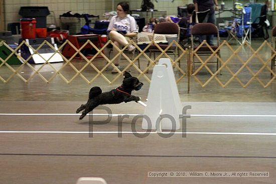 Birmingham Bandits Summer Shootout<br />June 27, 2010<br />Bessemer Civic Center<br />Bessemer Al