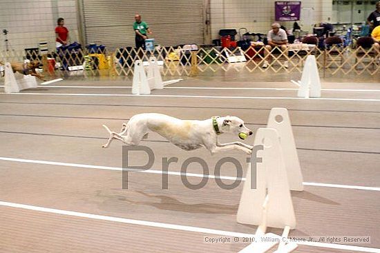 Birmingham Bandits Summer Shootout<br />June 27, 2010<br />Bessemer Civic Center<br />Bessemer Al