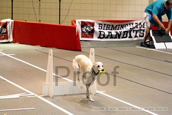 Birmingham Bandits Summer Shootout<br />June 27, 2010<br />Bessemer Civic Center<br />Bessemer Al