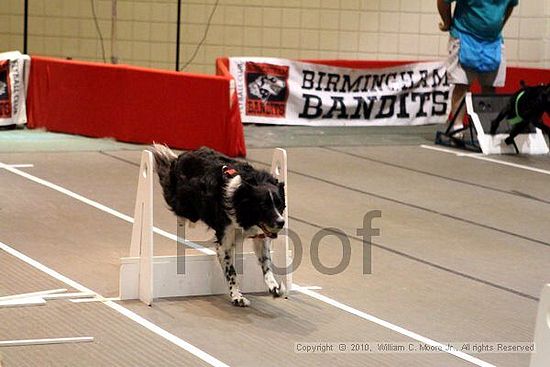 Birmingham Bandits Summer Shootout<br />June 27, 2010<br />Bessemer Civic Center<br />Bessemer Al