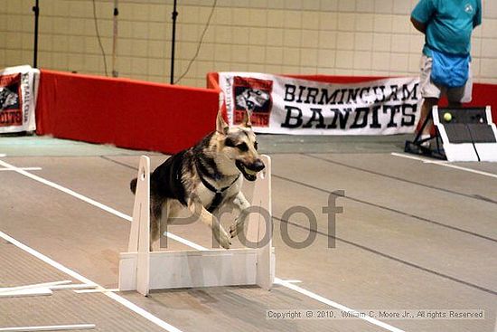 Birmingham Bandits Summer Shootout<br />June 27, 2010<br />Bessemer Civic Center<br />Bessemer Al