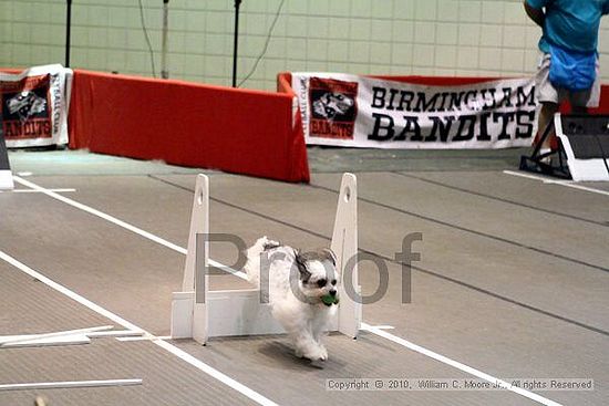 Birmingham Bandits Summer Shootout<br />June 27, 2010<br />Bessemer Civic Center<br />Bessemer Al