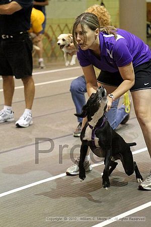 Birmingham Bandits Summer Shootout<br />June 27, 2010<br />Bessemer Civic Center<br />Bessemer Al