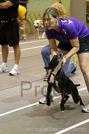 Birmingham Bandits Summer Shootout<br />June 27, 2010<br />Bessemer Civic Center<br />Bessemer Al