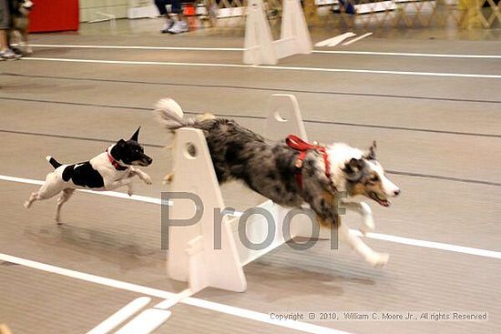 Birmingham Bandits Summer Shootout<br />June 27, 2010<br />Bessemer Civic Center<br />Bessemer Al