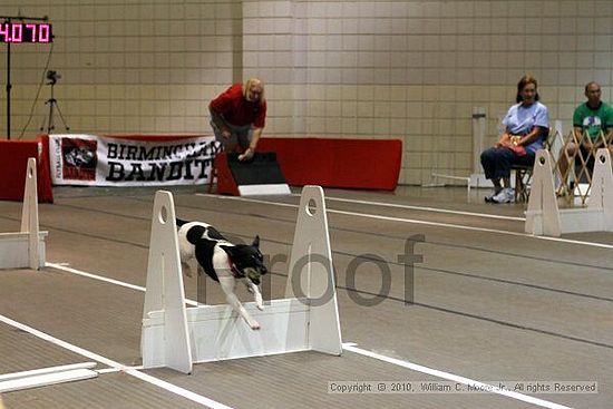 Birmingham Bandits Summer Shootout<br />June 27, 2010<br />Bessemer Civic Center<br />Bessemer Al