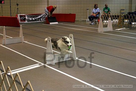 Birmingham Bandits Summer Shootout<br />June 27, 2010<br />Bessemer Civic Center<br />Bessemer Al