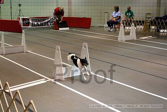 Birmingham Bandits Summer Shootout<br />June 27, 2010<br />Bessemer Civic Center<br />Bessemer Al