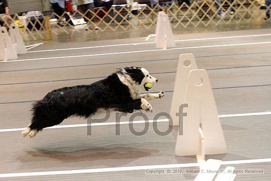 Birmingham Bandits Summer Shootout<br />June 27, 2010<br />Bessemer Civic Center<br />Bessemer Al