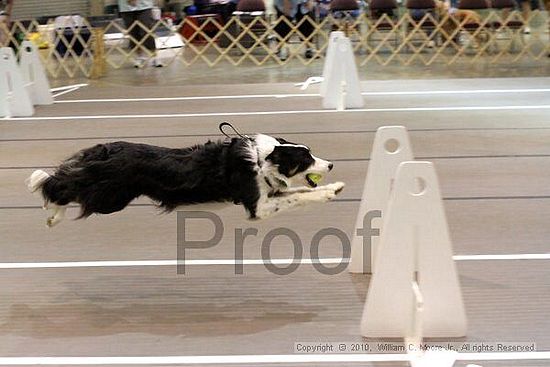 Birmingham Bandits Summer Shootout<br />June 27, 2010<br />Bessemer Civic Center<br />Bessemer Al