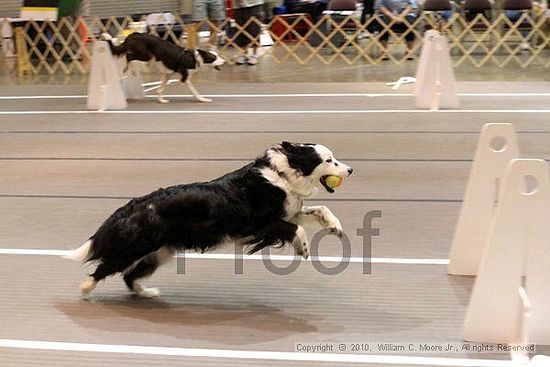 Birmingham Bandits Summer Shootout<br />June 27, 2010<br />Bessemer Civic Center<br />Bessemer Al