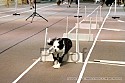 img_6257_thm.jpg