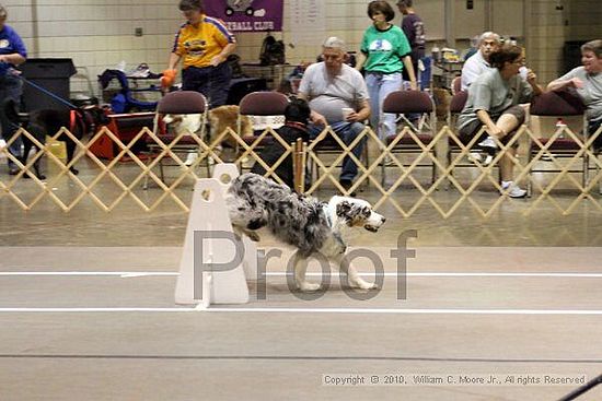 Birmingham Bandits Summer Shootout<br />June 27, 2010<br />Bessemer Civic Center<br />Bessemer Al