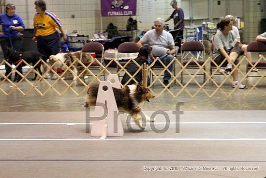 Birmingham Bandits Summer Shootout<br />June 27, 2010<br />Bessemer Civic Center<br />Bessemer Al