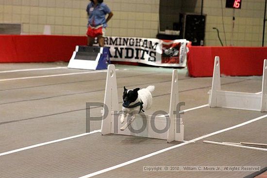 Birmingham Bandits Summer Shootout<br />June 27, 2010<br />Bessemer Civic Center<br />Bessemer Al