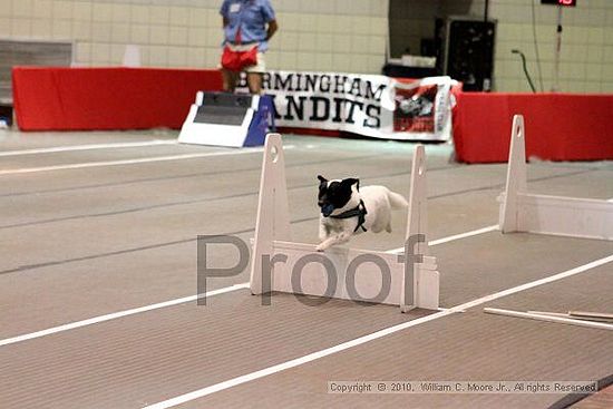 Birmingham Bandits Summer Shootout<br />June 27, 2010<br />Bessemer Civic Center<br />Bessemer Al